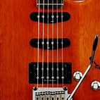 Satin Trans Fat Stratocaster HSS