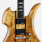 Exotic Classic Mockingbird