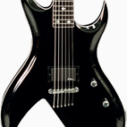 SE Archtop Bich Baritone