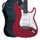 Beginner Electric