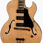 Palomino