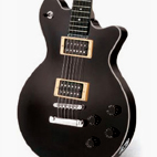 MS2000 STD