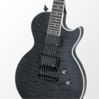 Prophecy Les Paul Custom EX
