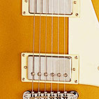 Lynyrd Skynyrd Les Paul Goldtop