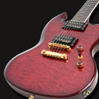 SG Prophecy Custom GX