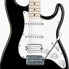 Standard Stratocaster HSS