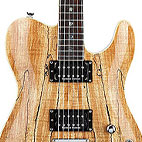 Custom Telecaster Spalted Maple HH