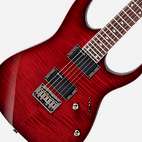 RGR421EXFM