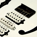 PGM 301