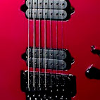 RG7620