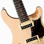 SE Custom Semi-Hollow Body