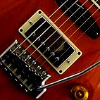 Swamp Ash Special