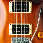 Standard 24
