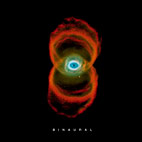 Pearl Jam: Binaural