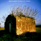 Joe Lally: There To Here