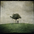 Ana Kefr: The Burial Tree II