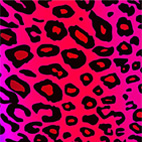 Christian Hansen And The Autistics: Power Leopard