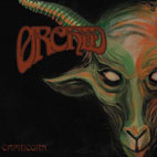 Orchid: Capricorn