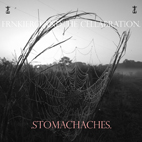 frnkiero andthe cellabration: Stomachaches