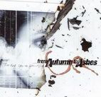 From Autumn to Ashes: Too Bad You're Beautiful
