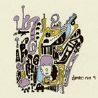 Damien Rice: 9
