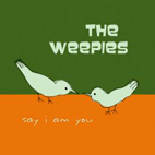 The Weepies: Say I Am You