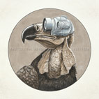 Protest the Hero: Volition