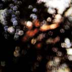 Pink Floyd: Obscured By Clouds