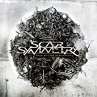 Scar Symmetry: Dark Matter Dimensions