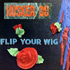 Hüsker Dü: Flip Your Wig