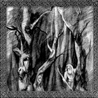 Temnozor': Sorcery Is Strengthening The Black Glory Of Rus'