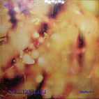Steamhammer: Steamhammer