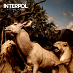 Interpol: Our Love to Admire