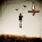 Flyleaf: Flyleaf