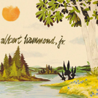 Albert Hammond, Jr.: Yours To Keep
