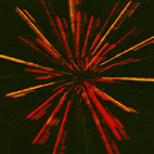 Attack in Black: Years (By One Thousand Fingertips)