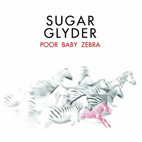 Sugar Glyder: Poor Baby Zebra