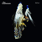 The Courteeners: Falcon