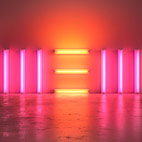 Paul McCartney: New