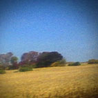 Sun Kil Moon: Benji