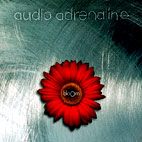 Audio Adrenaline: Bloom