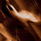 Agalloch: Ashes Against The Grain