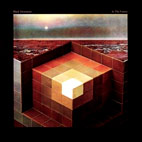 Black Mountain: In The Future