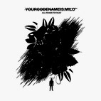 Yourcodenameis:Milo: All Roads To Fault