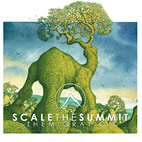 Scale the Summit: The Migration