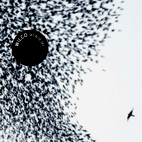 Wilco: Sky Blue Sky