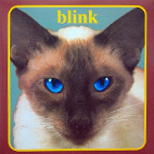 Blink-182: Cheshire Cat