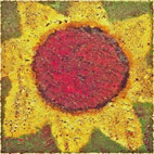 Never Shout Never: Sunflower