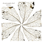 The Pineapple Thief: 3000 Days