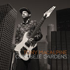 Tony MacAlpine: Concrete Gardens